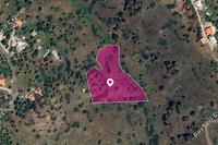 7098 SQM Land · Pigenia (Nicosia) for sale 