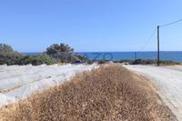 10883 SQM Land · Maroni (Larnaca) for sale 