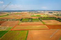 9600 SQM Land in Frenaros (Famagusta) for sale 