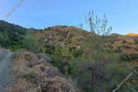11028 SQM Land in Agioi Vavatsinias (Larnaca) for sale 
