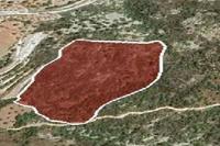 29432 SQM Land in Koili (Paphos) for sale 
