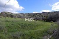 28763 SQM Land in Meladia (Paphos) for sale 
