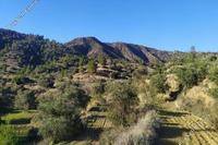 31439 SQM Land · Pano Lefkara (Larnaca) for sale 