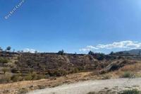 8659 SQM Land in Nikitari (Nicosia) for sale 