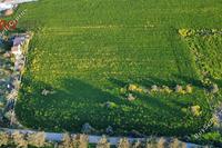 5310 SQM Land in Kato Deftera (Nicosia) for sale 