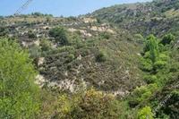 16444 SQM Land in Arsos Lemesou (Limassol) for sale 