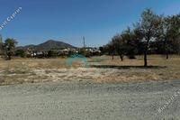 2007 SQM Land · Anglisides (Larnaca) for sale 