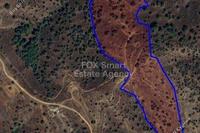 34114 SQM Land in Evrychou (Nicosia) for sale 