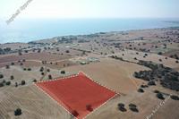 7024 SQM Land · Agios Theodoros Larnacas (Larnaca) for sale 
