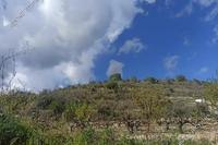 5018 SQM Land in Koili (Paphos) for sale 