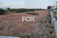 4430 SQM Land in Zakaki (Limassol) for sale 