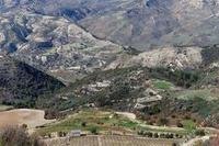4683 SQM Land in Dora (Limassol) for sale 