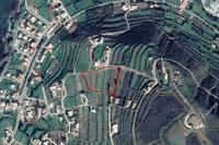 8631 SQM Land · Pomos (Paphos) for sale 