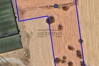 8362 SQM Land · Verengaria Limassol (Limassol) for sale 