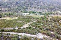 25284 SQM Land in Trimiklini (Limassol) for sale 