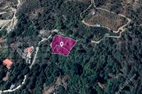 3105 SQM Land in Lemithou (Limassol) for sale 