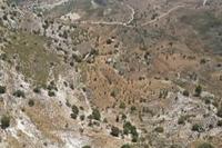 18061 SQM Land in Kedares (Paphos) for sale 