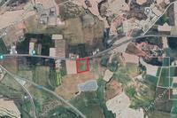 12820 SQM Land in Alaminos (Larnaca) for sale 