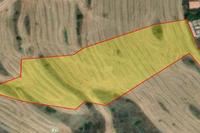 6689 SQM Land · Mitsero (Nicosia) for sale 
