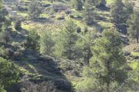 3011 SQM Land in Kaimakli (Nicosia) for sale 