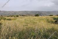 3512 SQM Land · Vouni (Limassol) for sale 
