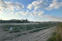 3494 SQM Land · Aradippou (Larnaca) for sale 