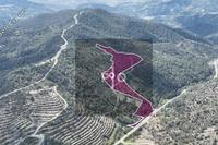 88660 SQM Land in Louvaras (Limassol) for sale 