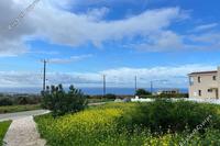 1005 SQM Land in Tala (Paphos) for sale 