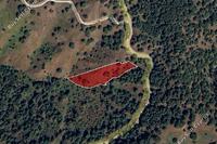 6782 SQM Land in Pigenia (Nicosia) for sale 