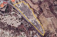 14664 SQM Plot in Choirokoitia (Larnaca) for sale 