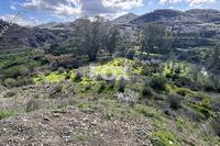 6812 SQM Land · Arakapas (Limassol) for sale 