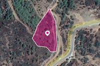 8450 SQM Land in Lysos (Paphos) for sale 
