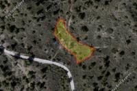 2342 SQM Land in Pera Pedi (Limassol) for sale 