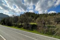 17503 SQM Land · Agios Epifanios Oreinis (Nicosia) for sale 