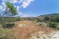 8696 SQM Land in Pachna (Limassol) for sale 