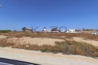 539 SQM Plot in Makedonitissa (Nicosia) for sale 