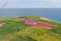 36456 SQM Land · Mazotos (Larnaca) for sale 
