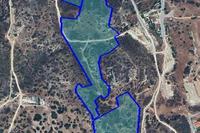53961 SQM Plot in Foinikaria (Limassol) for sale 
