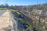3991 SQM Plot in Souni Zanakia (Limassol) for sale 