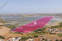 309758 SQM Land · Paralimni (Famagusta) for sale 