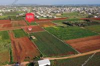 9336 SQM Land · Liopetri (Famagusta) for sale 