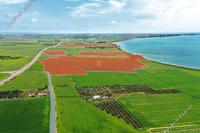 253657 SQM Land · Pervolia (Larnaca) for sale 