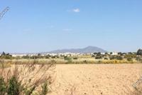 12654 SQM Land · Mazotos (Larnaca) for sale 