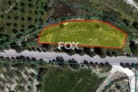 1360 SQM Land · Nata (Paphos) for sale 