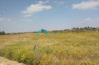 4039 SQM Land in Frenaros (Famagusta) for sale 