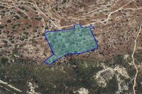 12041 SQM Land · Armenochori (Limassol) for sale 