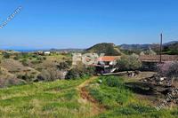 6021 SQM Land in Pigenia (Nicosia) for sale 