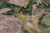 4348 SQM Land in Alampra (Nicosia) for sale 