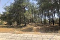 1470 SQM Plot · Kornos (Larnaca) for sale 
