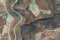 10703 SQM Plot in Vasa Kilaniou (Limassol) for sale 